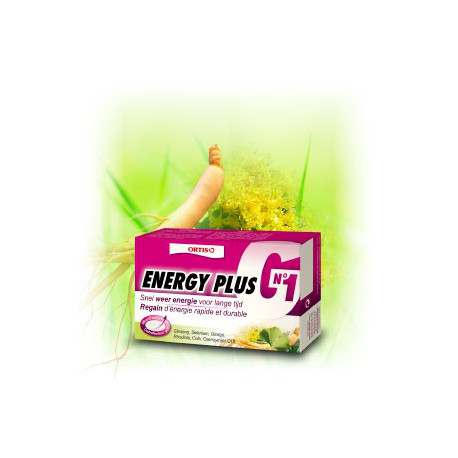 Energy Plus Energy Plus