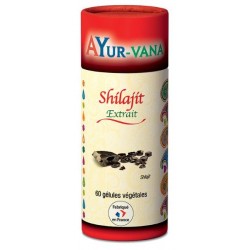 Shilajit ayurvédique - 60...