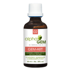 GEM ART - 50ML - ALPHA GEM