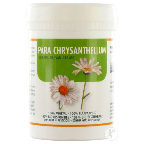 Chrysanthellum Parabolic