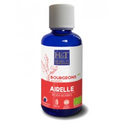 Bourgeons - Airelle (Herbes...